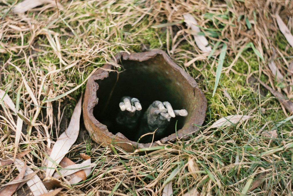 where to buy mole traps near me