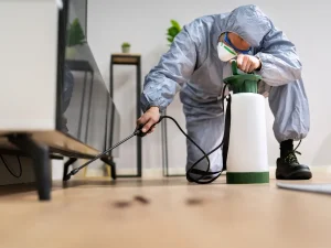 eco-friendly pest control Langley