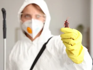exterminator Langley