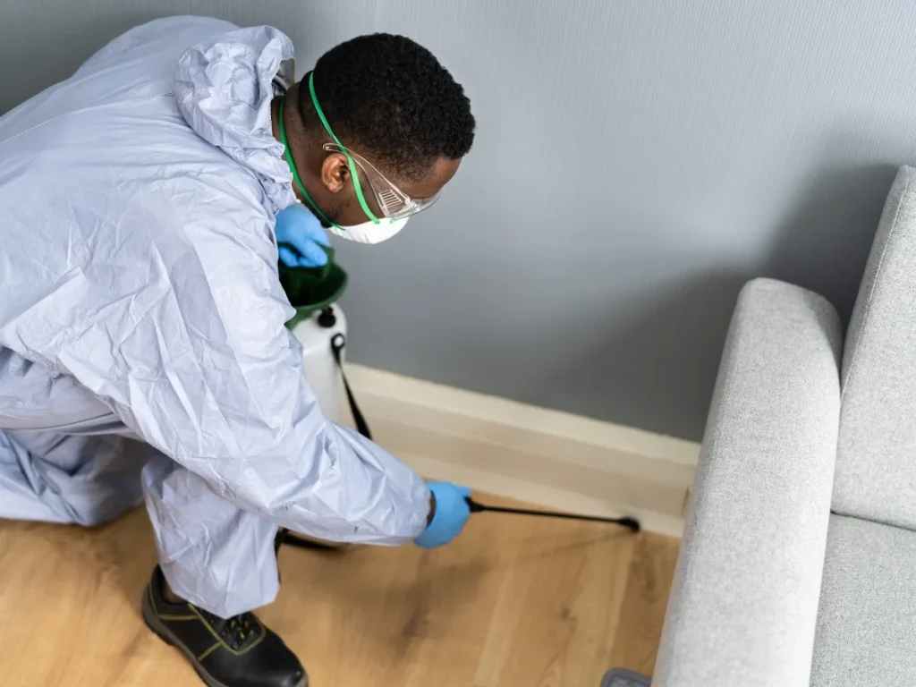 pest control cost in Langley