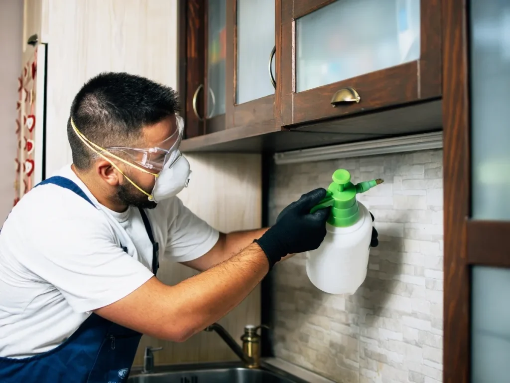 pest control for detached homes