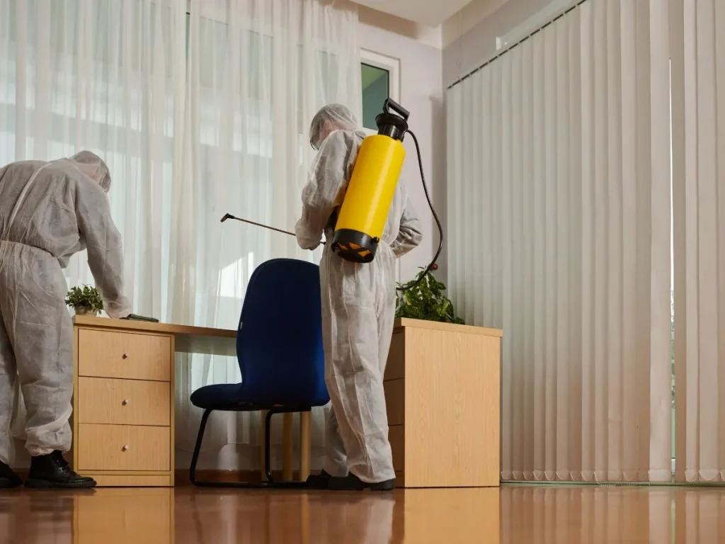 pest control for heritage homes