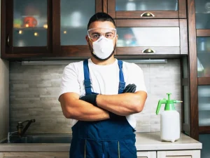 professional services in Langley