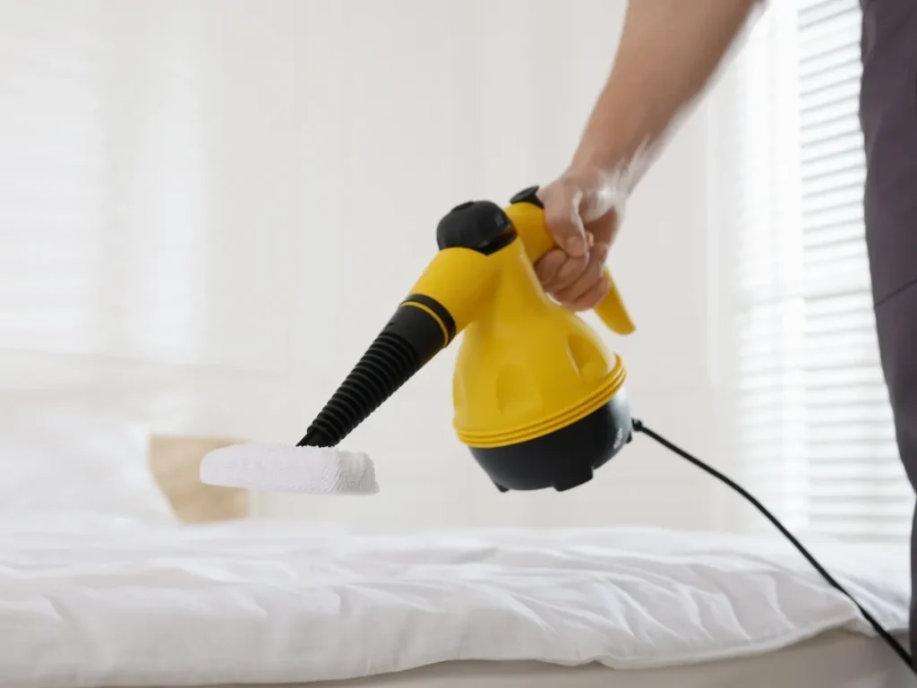 bed bug control in langley
