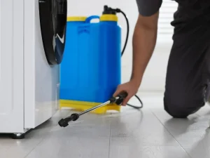 best pest control langley