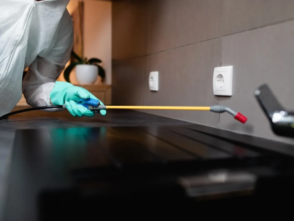 pest control chilliwack
