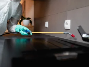 pest control chilliwack