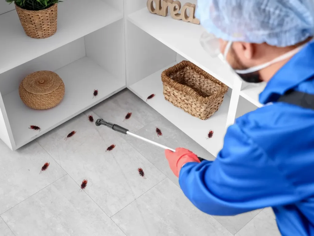 cockroach control langley