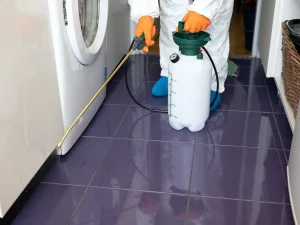 pest control delta