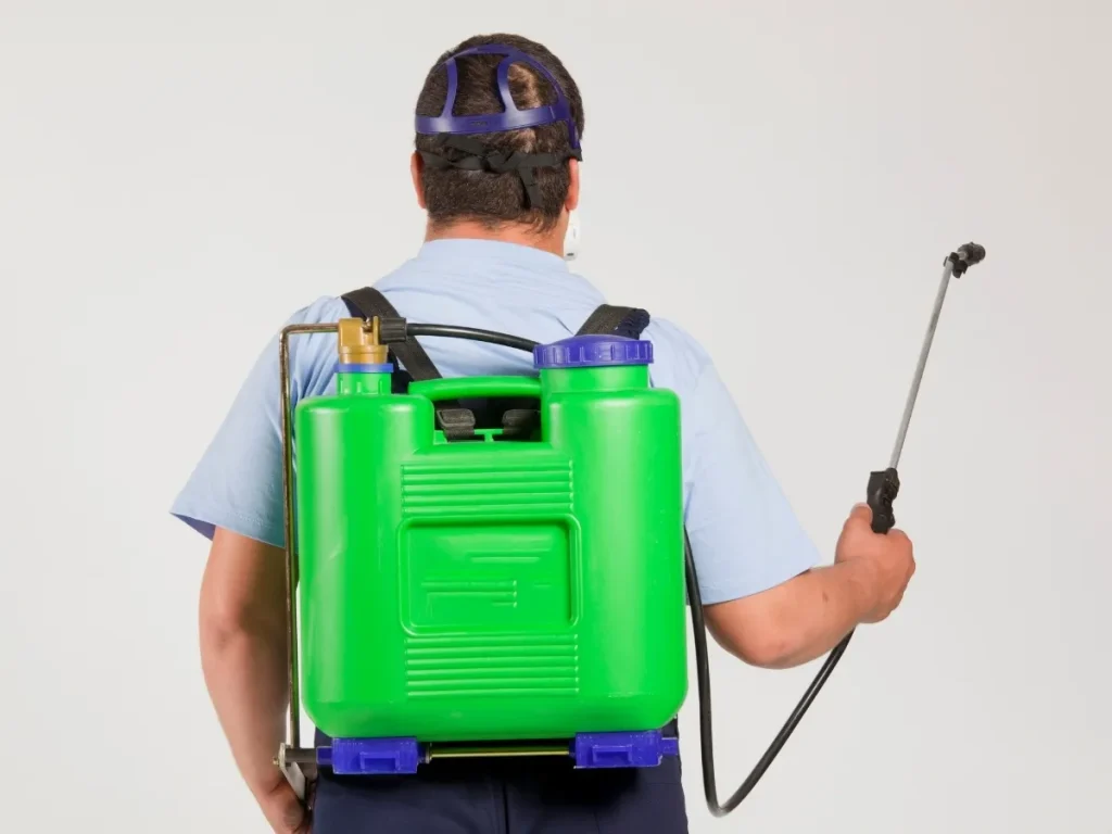 exterminator abbotsford