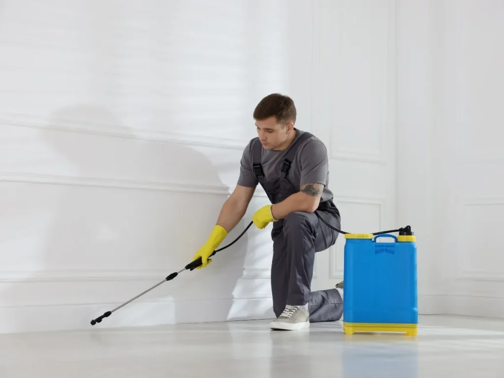 pest control fraser valley