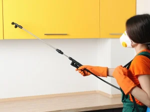 quick pest control vancouver