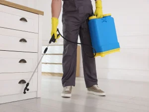 pest control richmond
