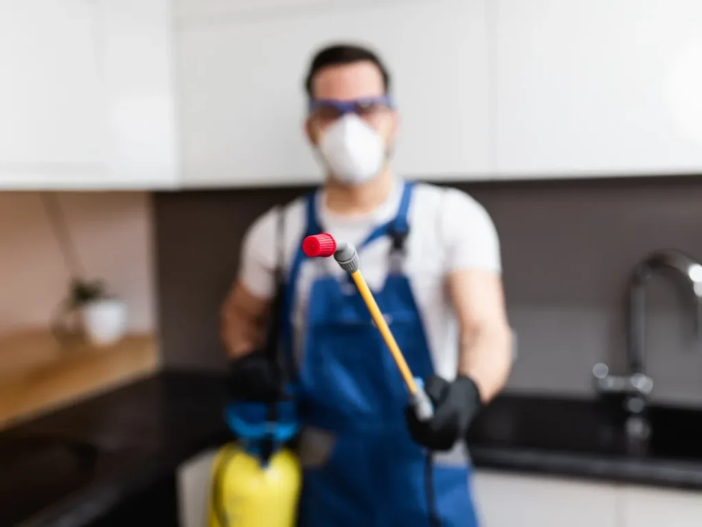 safe pest control Langley