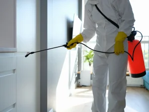 exterminator Coquitlam