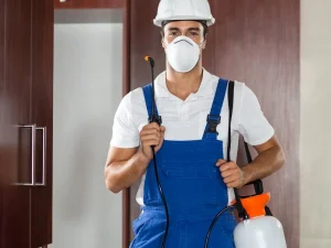 pest control Abbotsford BC