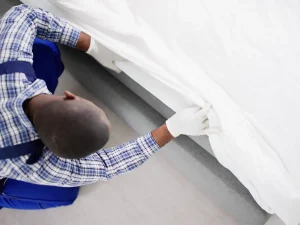 bed bug control Burnaby