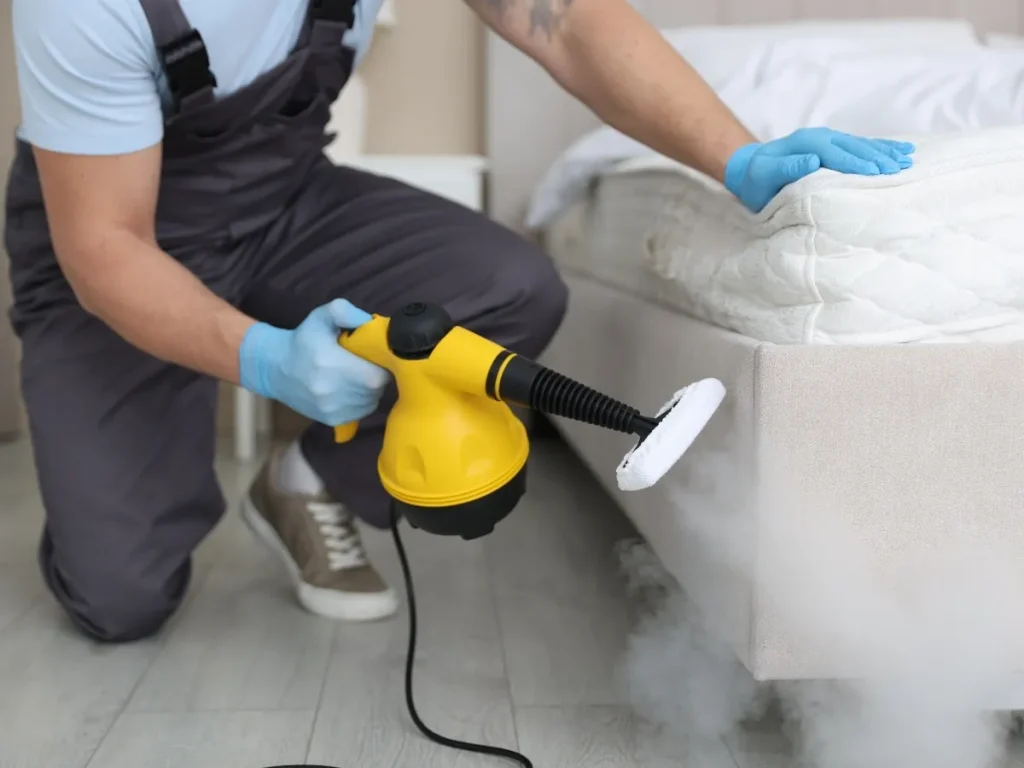 pest inspection Burnaby