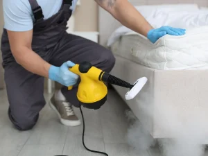 pest inspection Burnaby