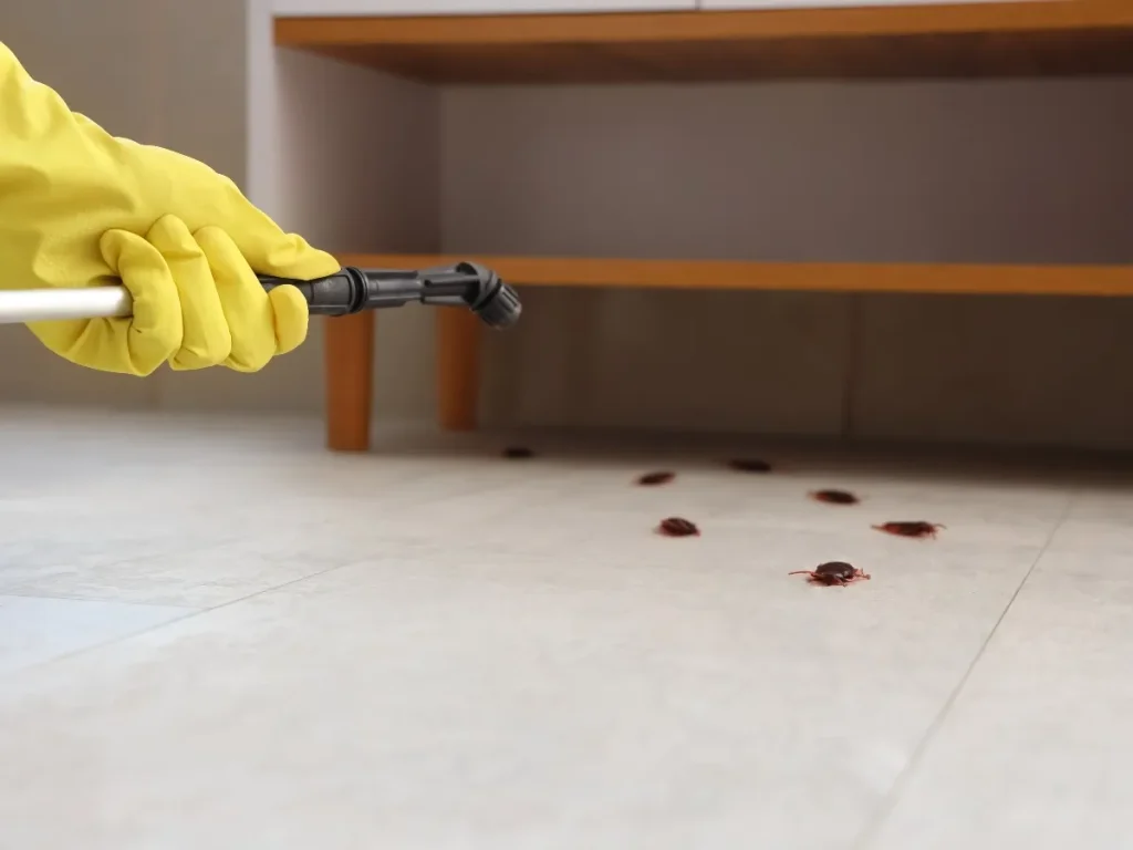 best pest control Lower Mainland