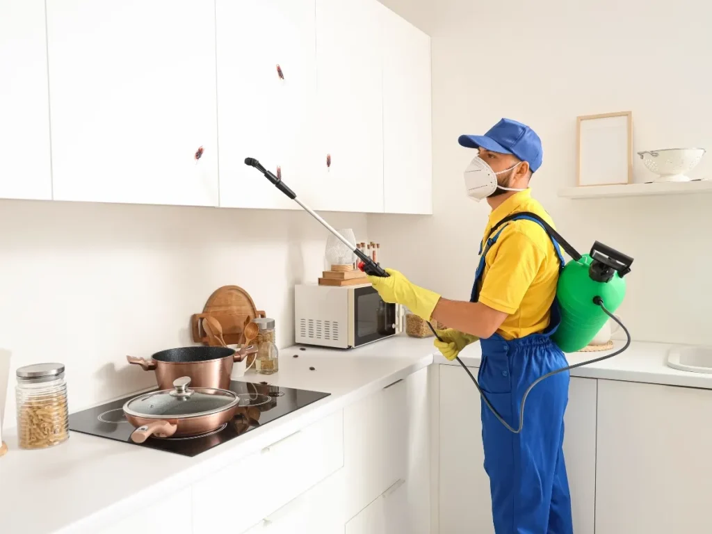 Delta pest control services