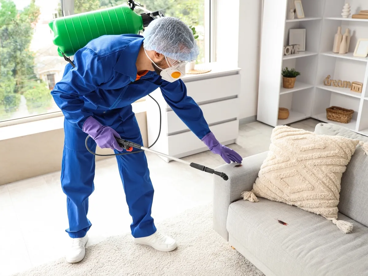 emergency pest control Surrey