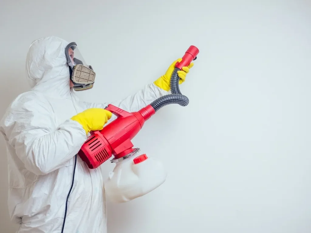 emergency pest control Chilliwack
