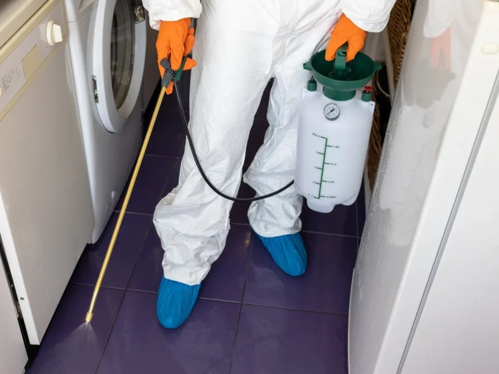 emergency pest control Delta