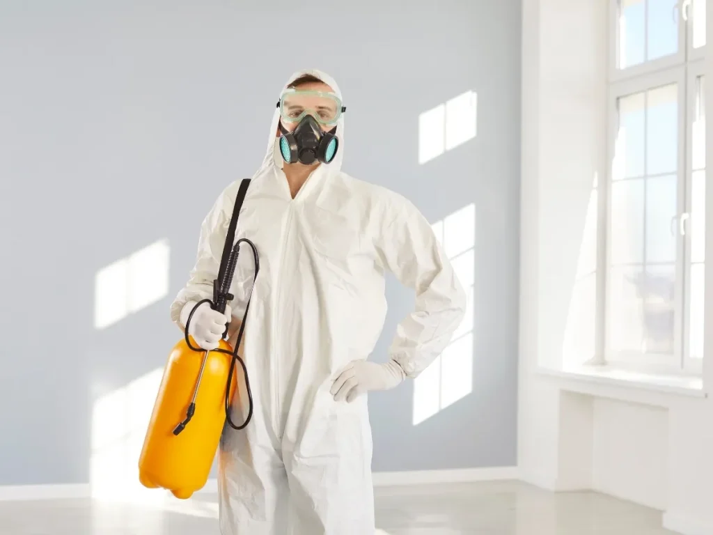 healthy home pest control