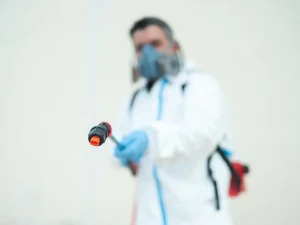 pest proofing a home