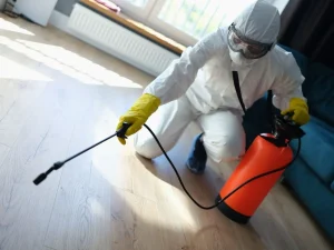 prevent mice in winter