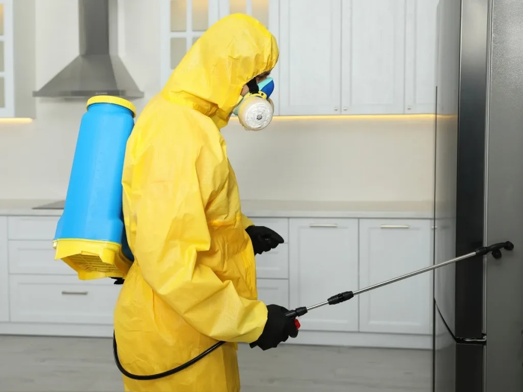 pest prevention during construction
