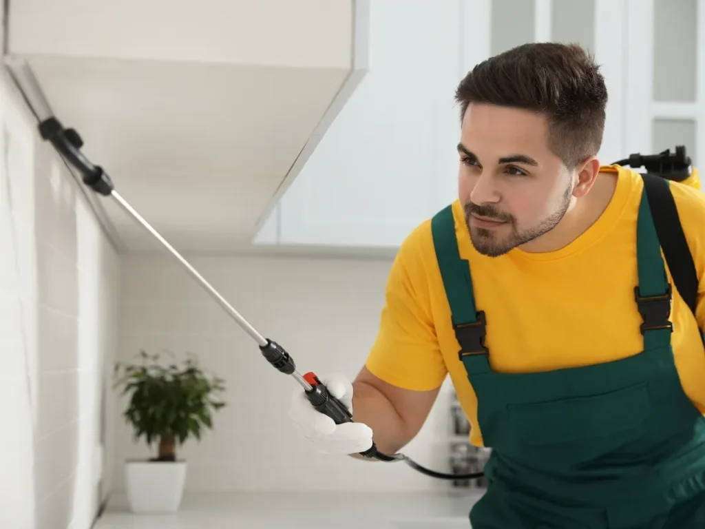 storage pest prevention