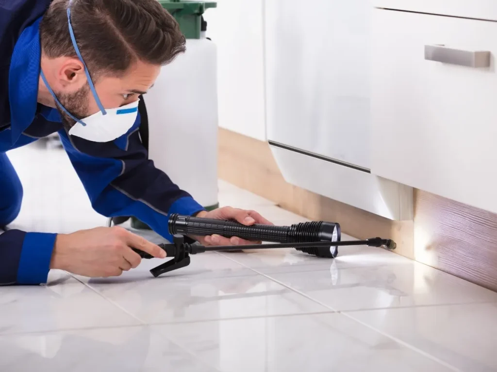 pest control services Burnaby