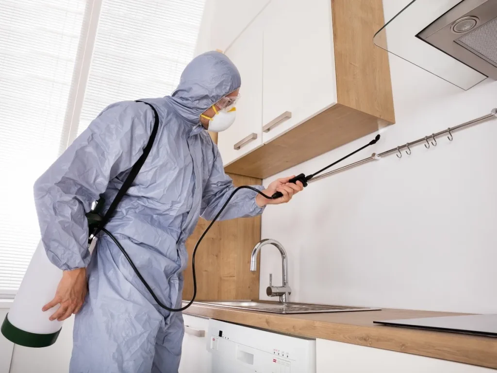 pest control in Coquitlam