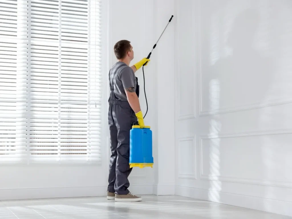 pest control Maple Ridge