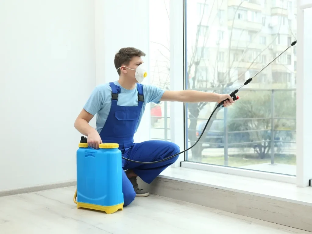 spring pest control tips