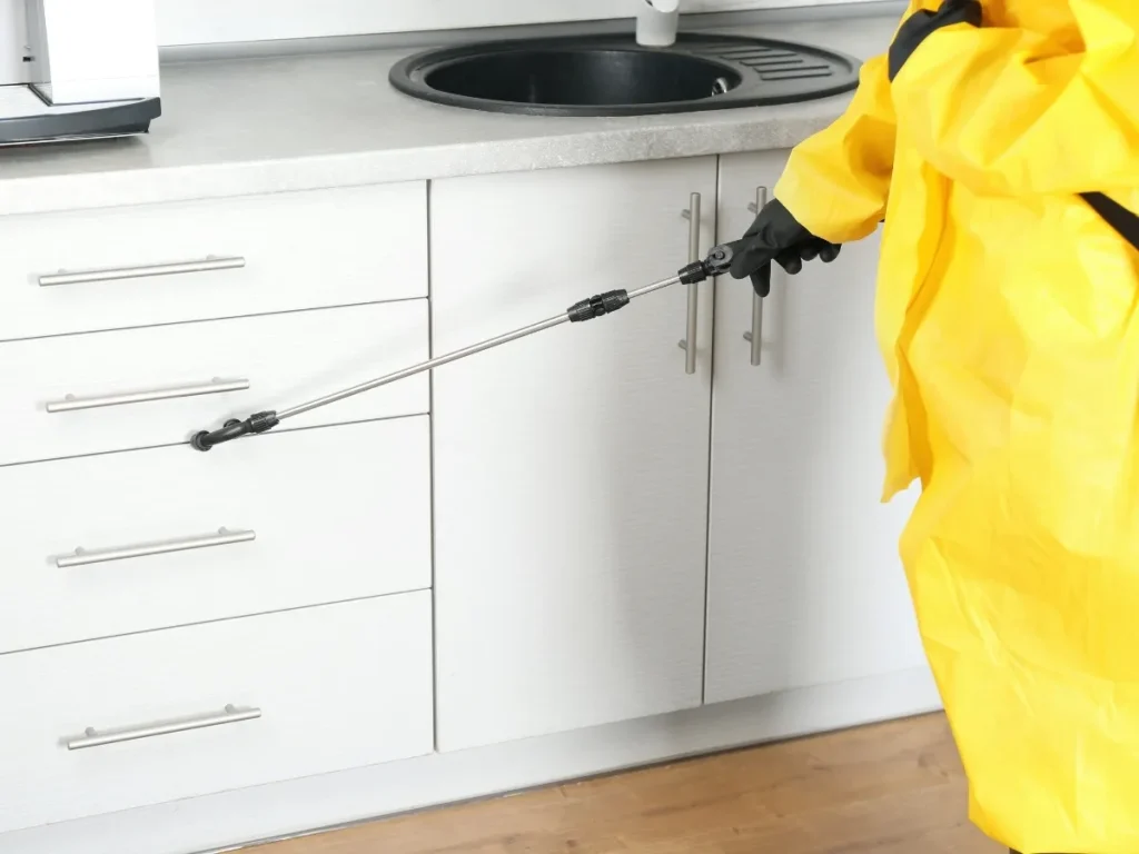 winter pest control