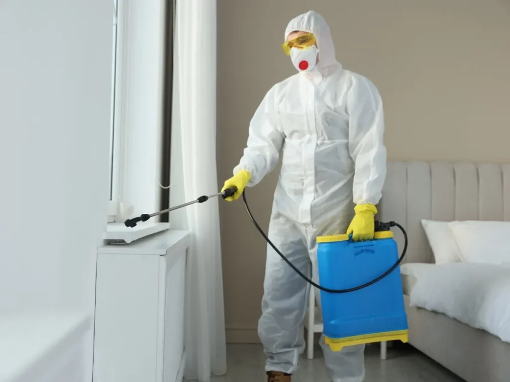 pest control Maple Ridge BC