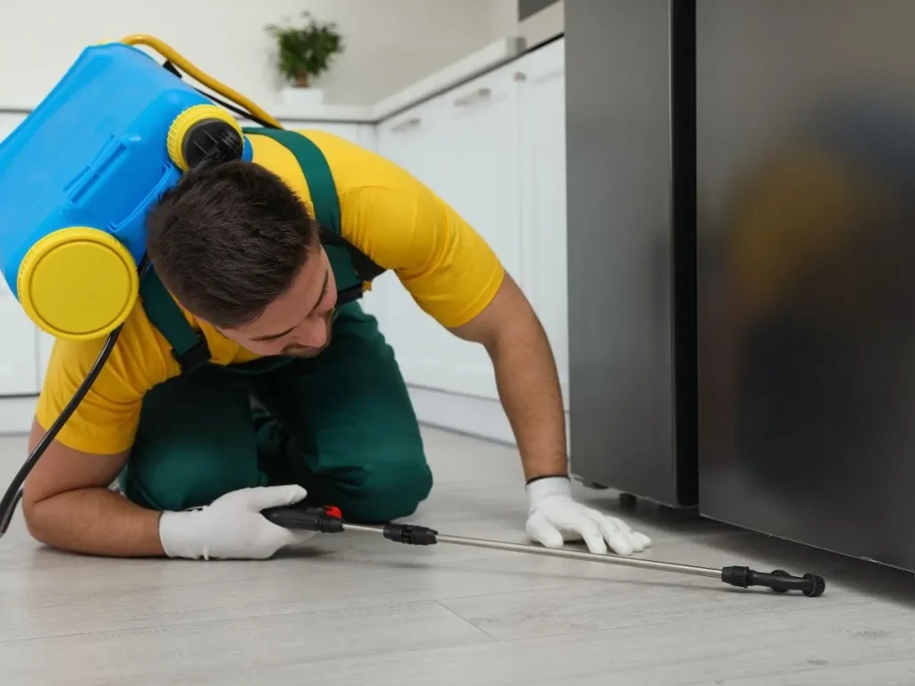 rat removal langley