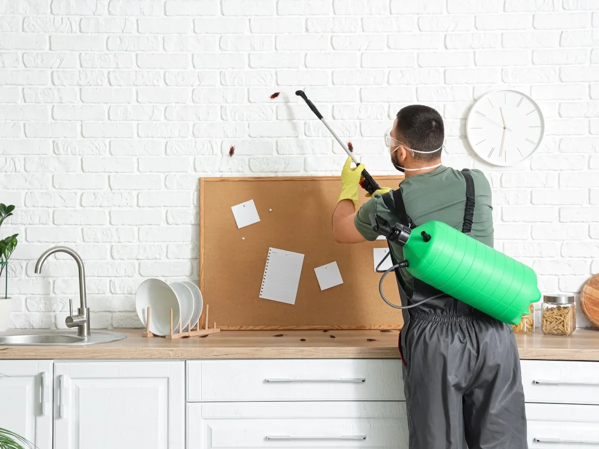 pest inspection Surrey BC