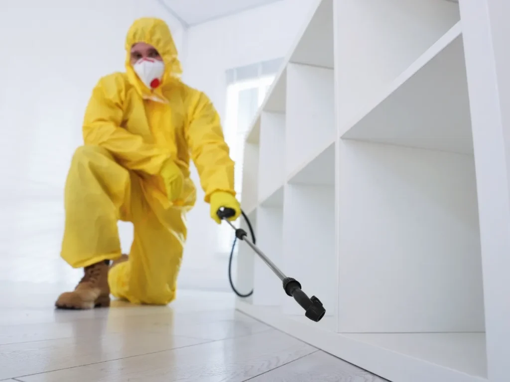 early pest treatment