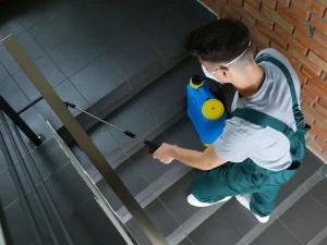rodent control surrey bc