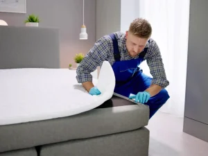 bed bug signs