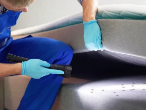 bed bug control Vancouver