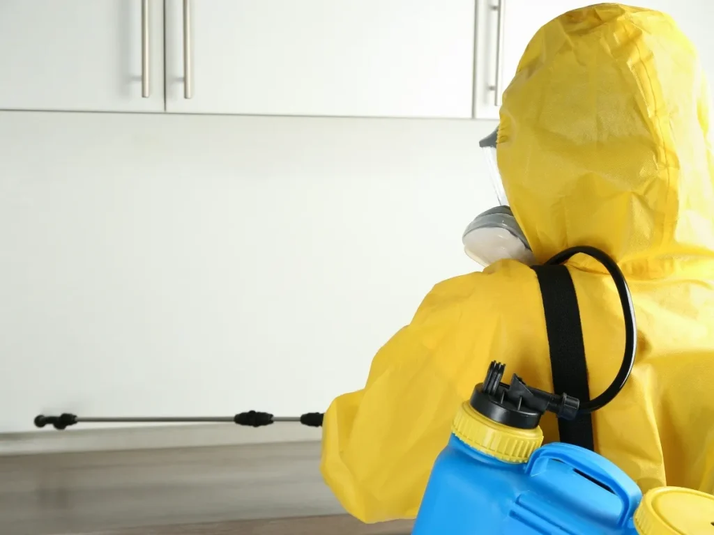 professional pest inspection process