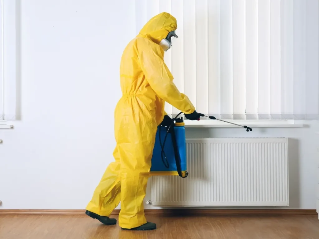 professional exterminator services
