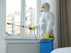 pest infestation spread
