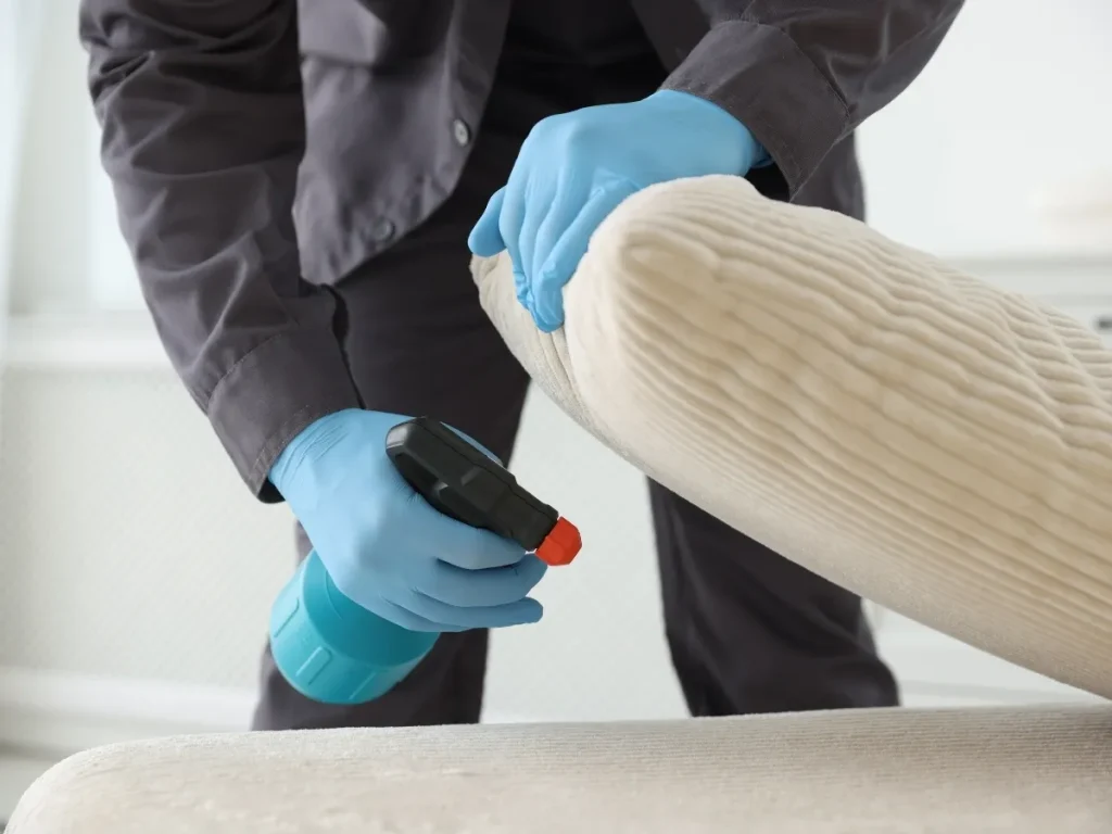 pests in older homes