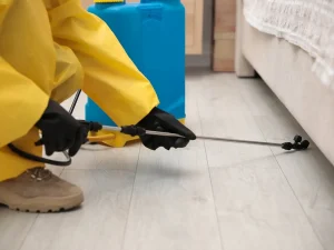 urban pest problems